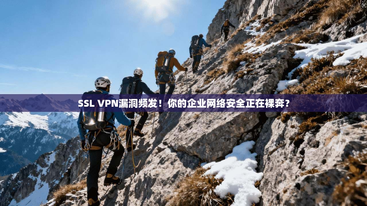SSL VPN漏洞频发!你的企业网络安全正在裸奔?