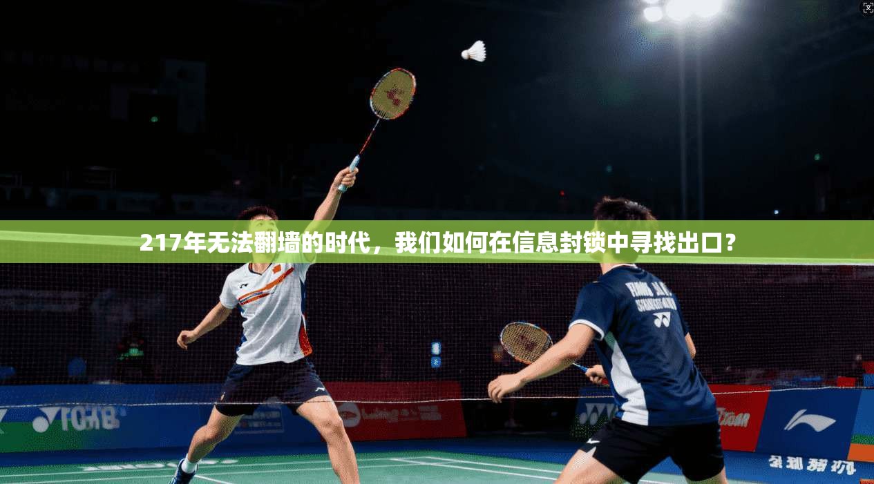 217年无法翻墙的时代,我们如何在信息封锁中寻找出口?