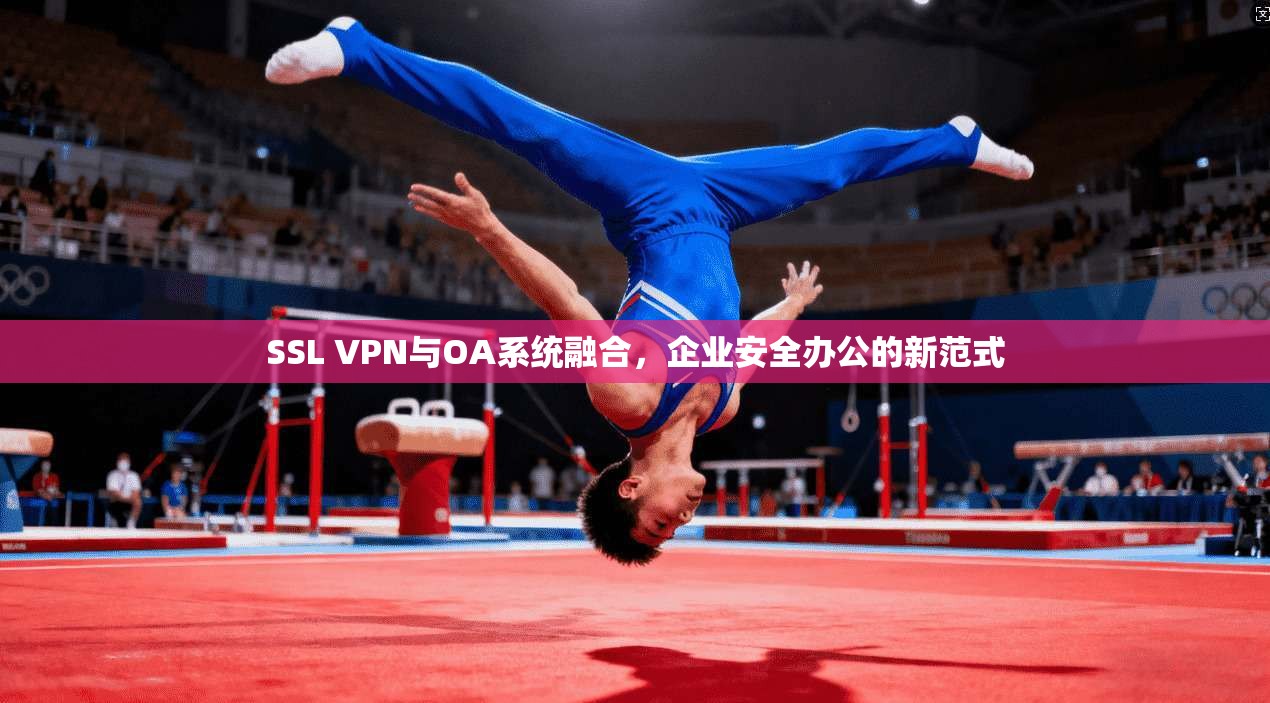 SSL VPN与OA系统融合，企业安全办公的新范式
