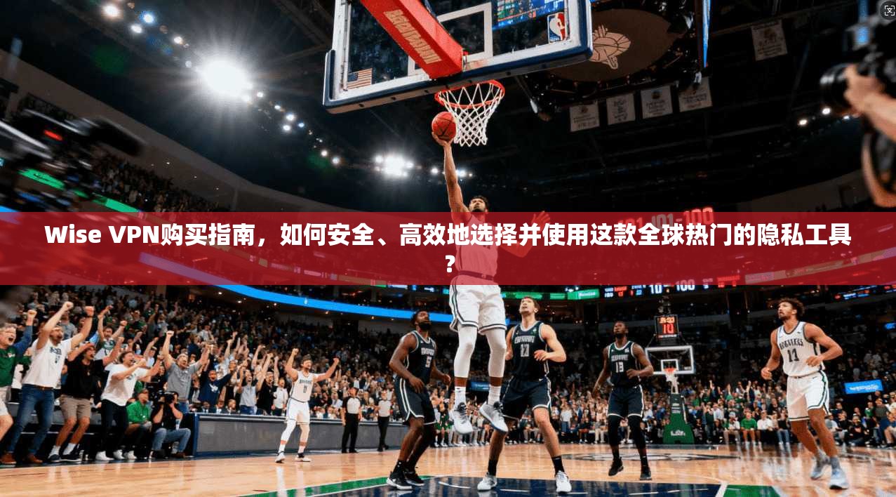 Wise VPN购买指南，如何安全、高效地选择并使用这款全球热门的隐私工具？