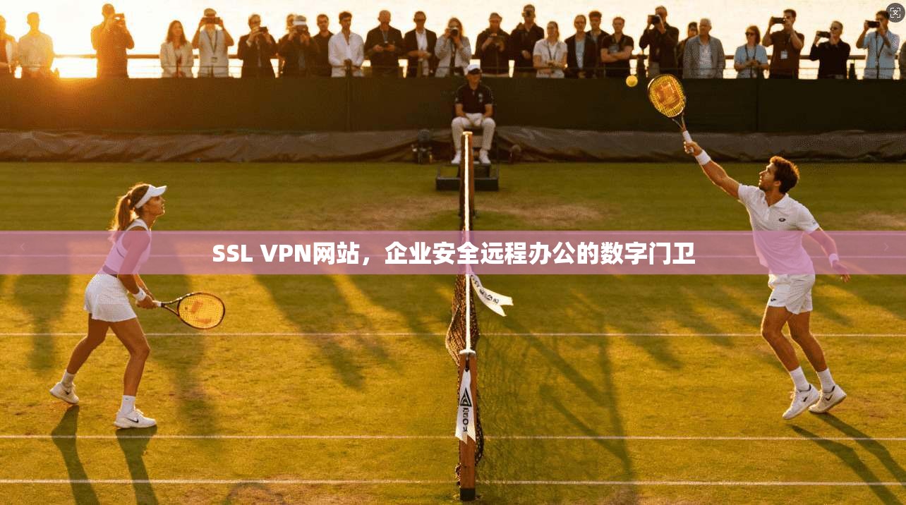 SSL VPN网站，企业安全远程办公的数字门卫