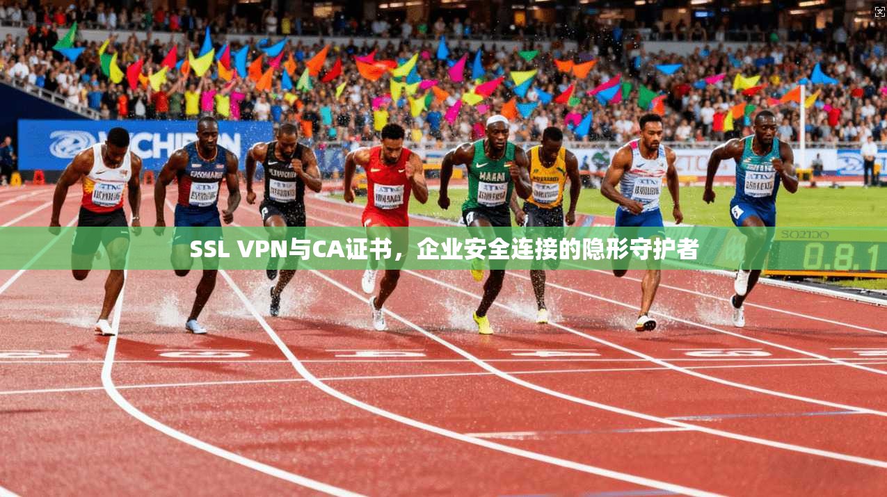 SSL VPN与CA证书，企业安全连接的隐形守护者