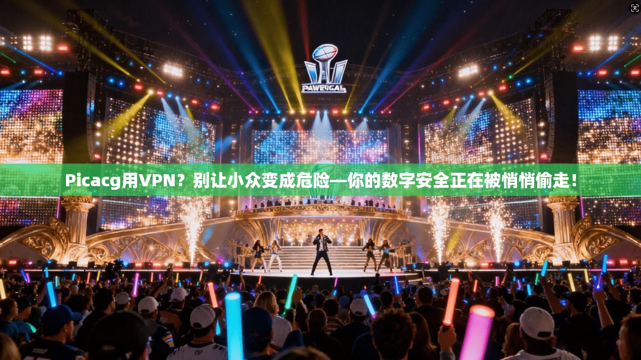 Picacg用VPN?别让小众变成危险—你的数字安全正在被悄悄偷走!