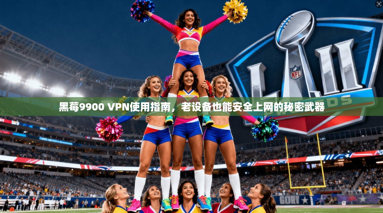 黑莓9900 VPN使用指南，老设备也能安全上网的秘密武器