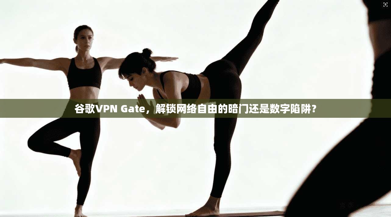 谷歌VPN Gate，解锁网络自由的暗门还是数字陷阱？