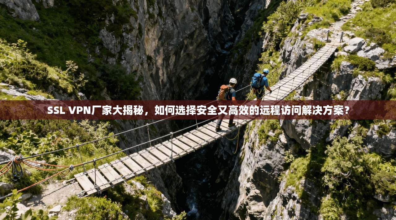 SSL VPN厂家大揭秘，如何选择安全又高效的远程访问解决方案？