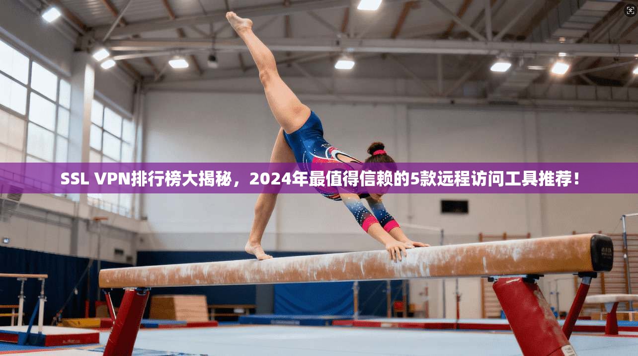 SSL VPN排行榜大揭秘，2024年最值得信赖的5款远程访问工具推荐！