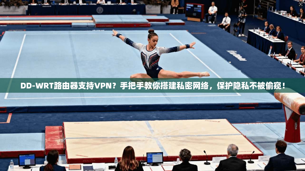 DD-WRT路由器支持VPN？手把手教你搭建私密网络，保护隐私不被偷窥！