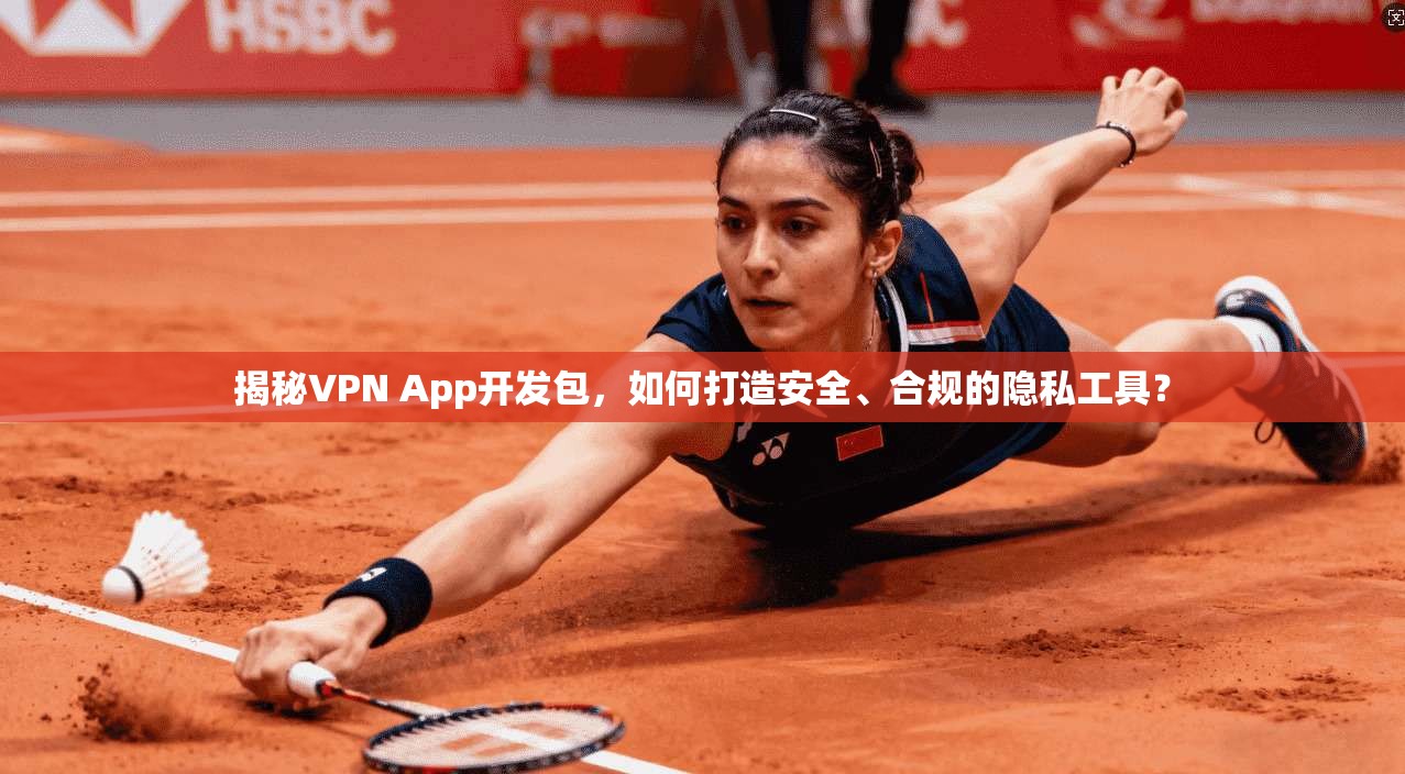 揭秘VPN App开发包,如何打造安全、合规的隐私工具?