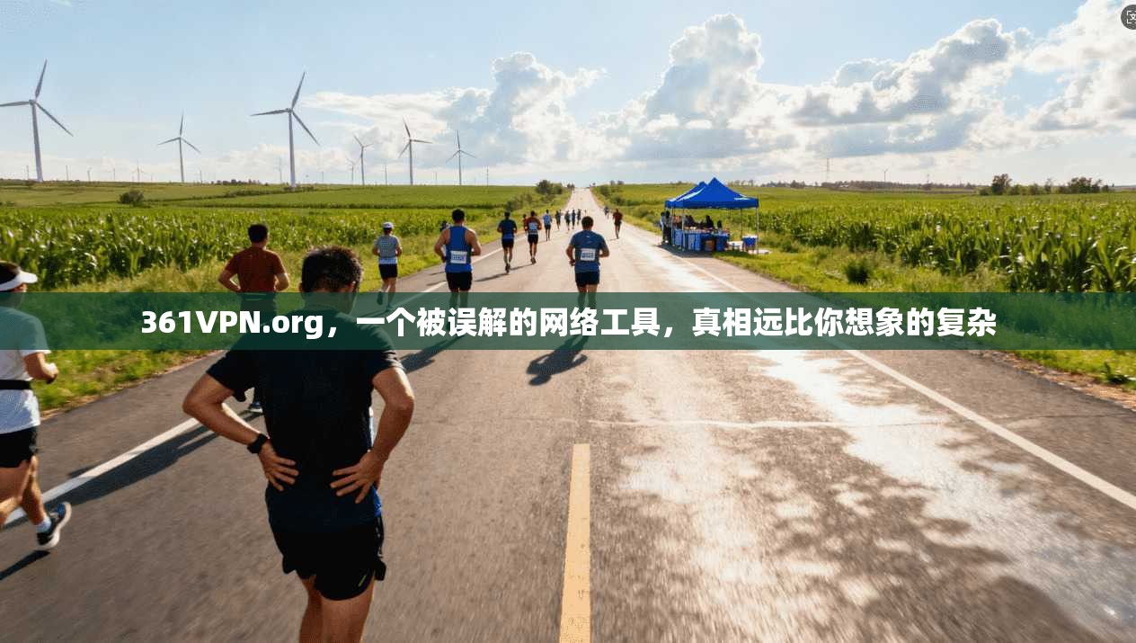 361VPN.org，一个被误解的网络工具，真相远比你想象的复杂