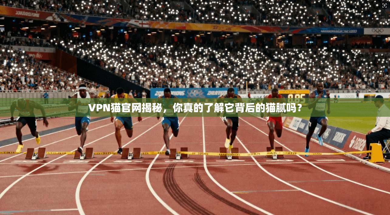 VPN猫官网揭秘,你真的了解它背后的猫腻吗?