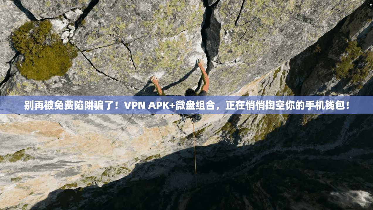 别再被免费陷阱骗了！VPN APK+微盘组合，正在悄悄掏空你的手机钱包！