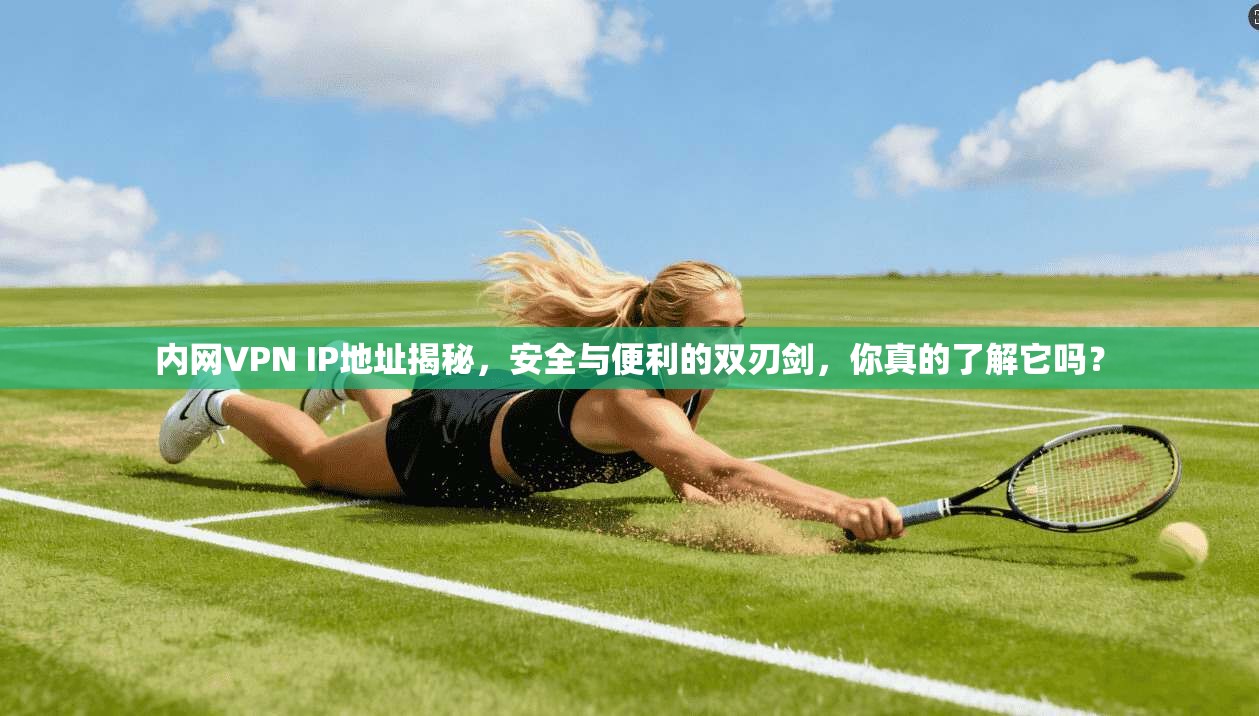 内网VPN IP地址揭秘，安全与便利的双刃剑，你真的了解它吗？