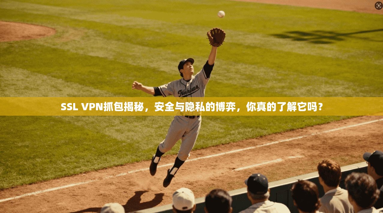 SSL VPN抓包揭秘，安全与隐私的博弈，你真的了解它吗？