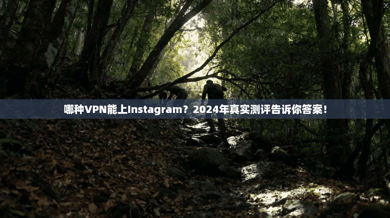 哪种VPN能上Instagram?2024年真实测评告诉你答案!