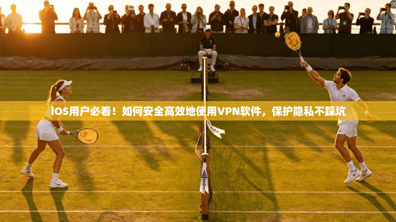 iOS用户必看！如何安全高效地使用VPN软件，保护隐私不踩坑