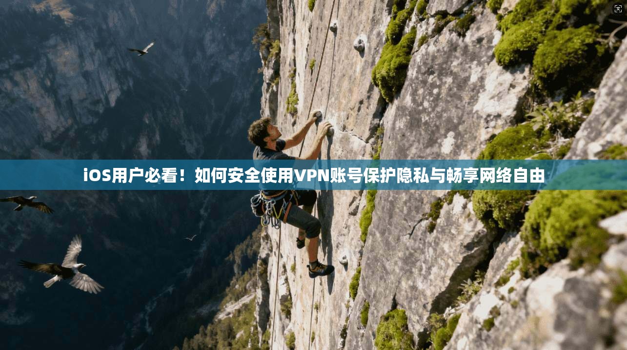 iOS用户必看！如何安全使用VPN账号保护隐私与畅享网络自由