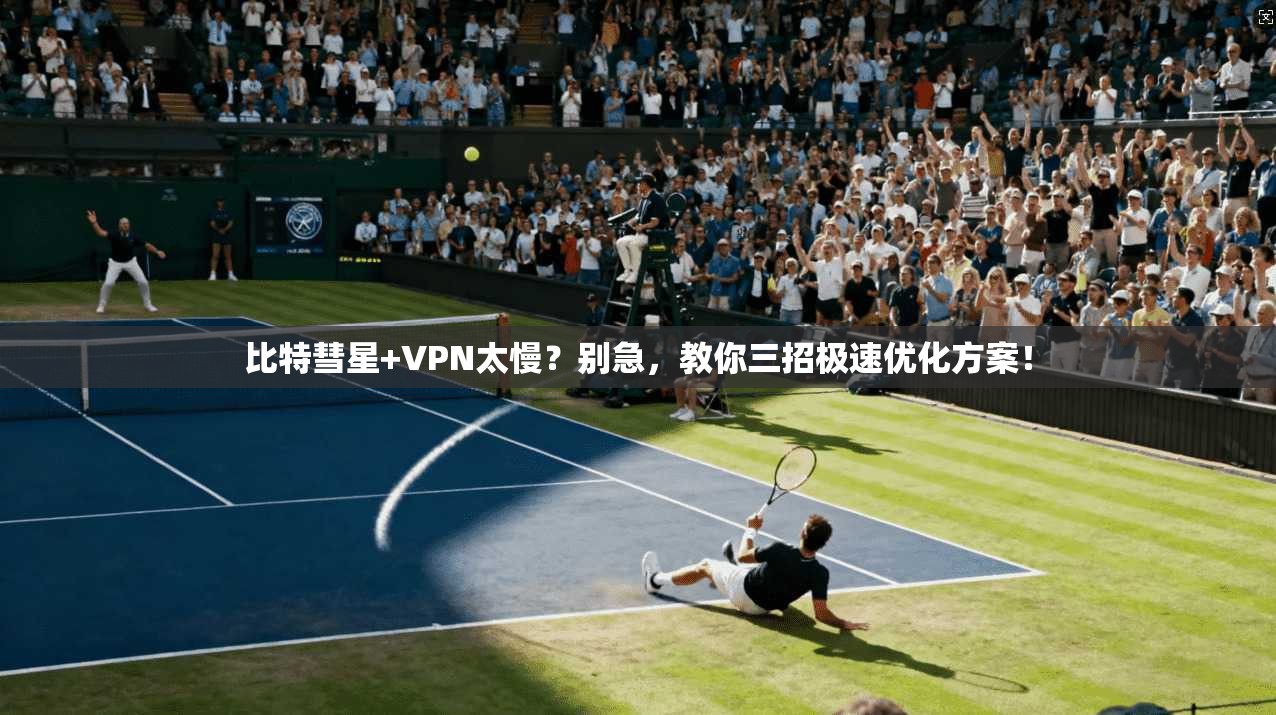 比特彗星+VPN太慢？别急，教你三招极速优化方案！