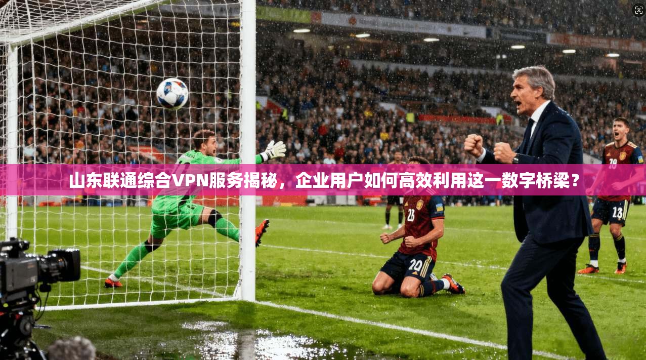 山东联通综合VPN服务揭秘，企业用户如何高效利用这一数字桥梁？