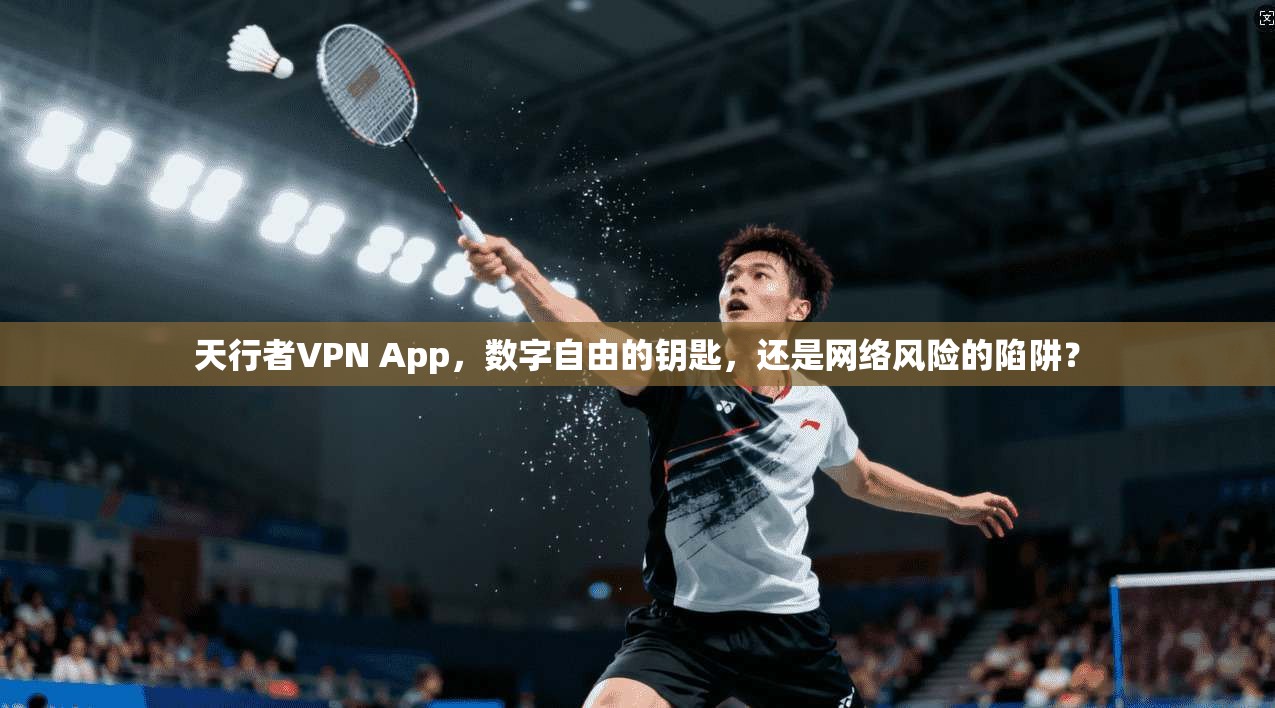 天行者VPN App，数字自由的钥匙，还是网络风险的陷阱？