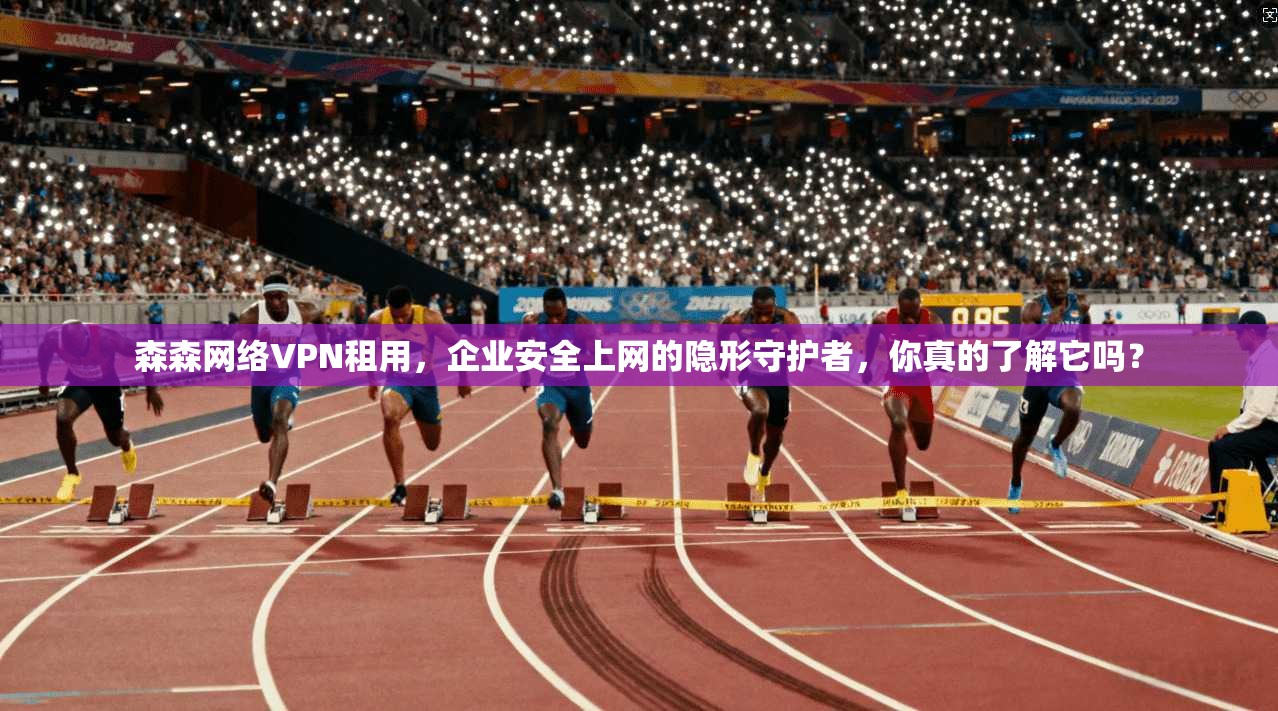 森森网络VPN租用，企业安全上网的隐形守护者，你真的了解它吗？