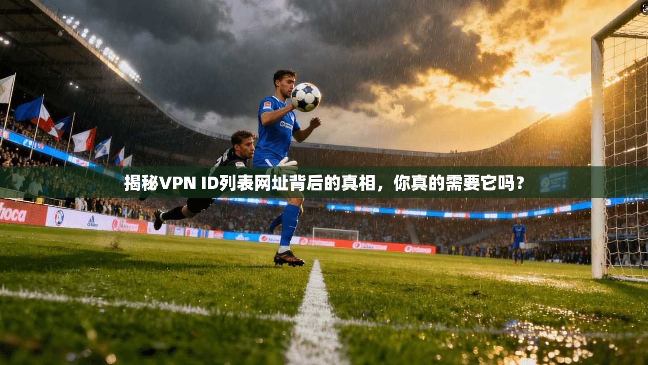 揭秘VPN ID列表网址背后的真相，你真的需要它吗？
