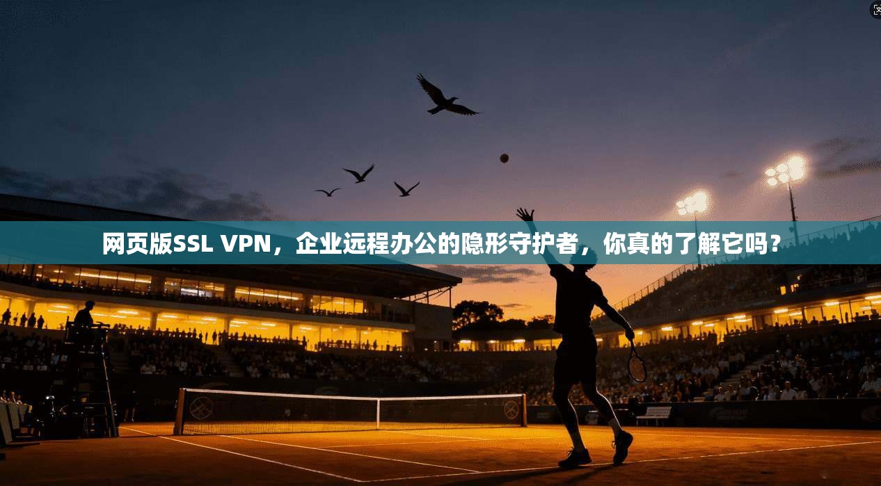 网页版SSL VPN，企业远程办公的隐形守护者，你真的了解它吗？