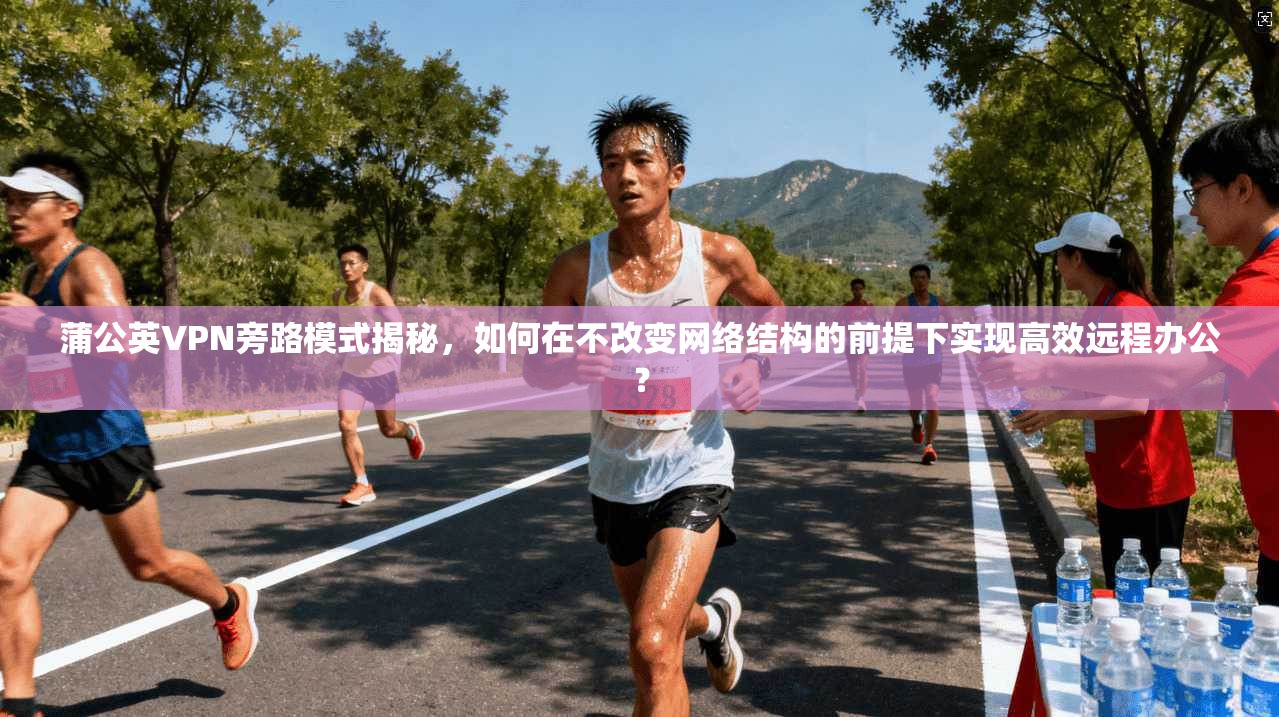 蒲公英VPN旁路模式揭秘，如何在不改变网络结构的前提下实现高效远程办公？