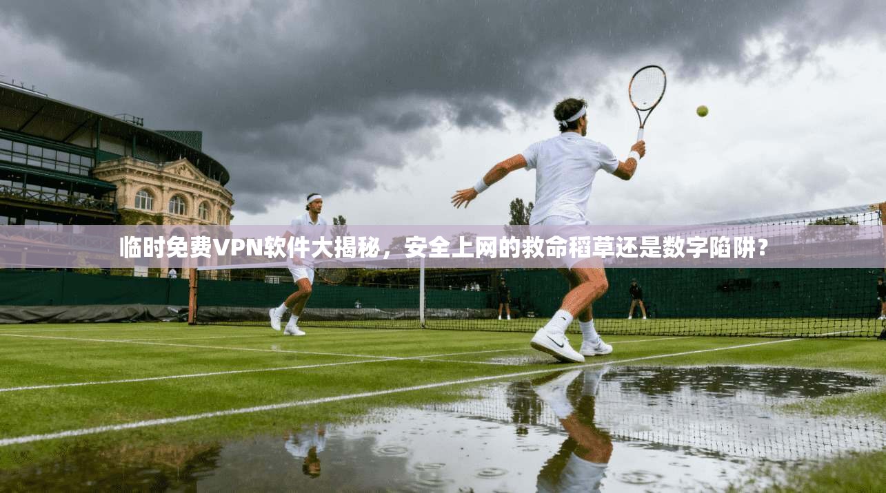 临时免费VPN软件大揭秘，安全上网的救命稻草还是数字陷阱？