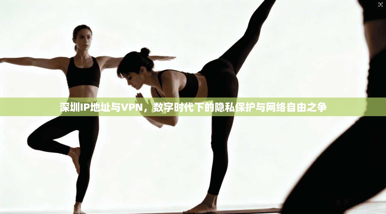 深圳IP地址与VPN,数字时代下的隐私保护与网络自由之争