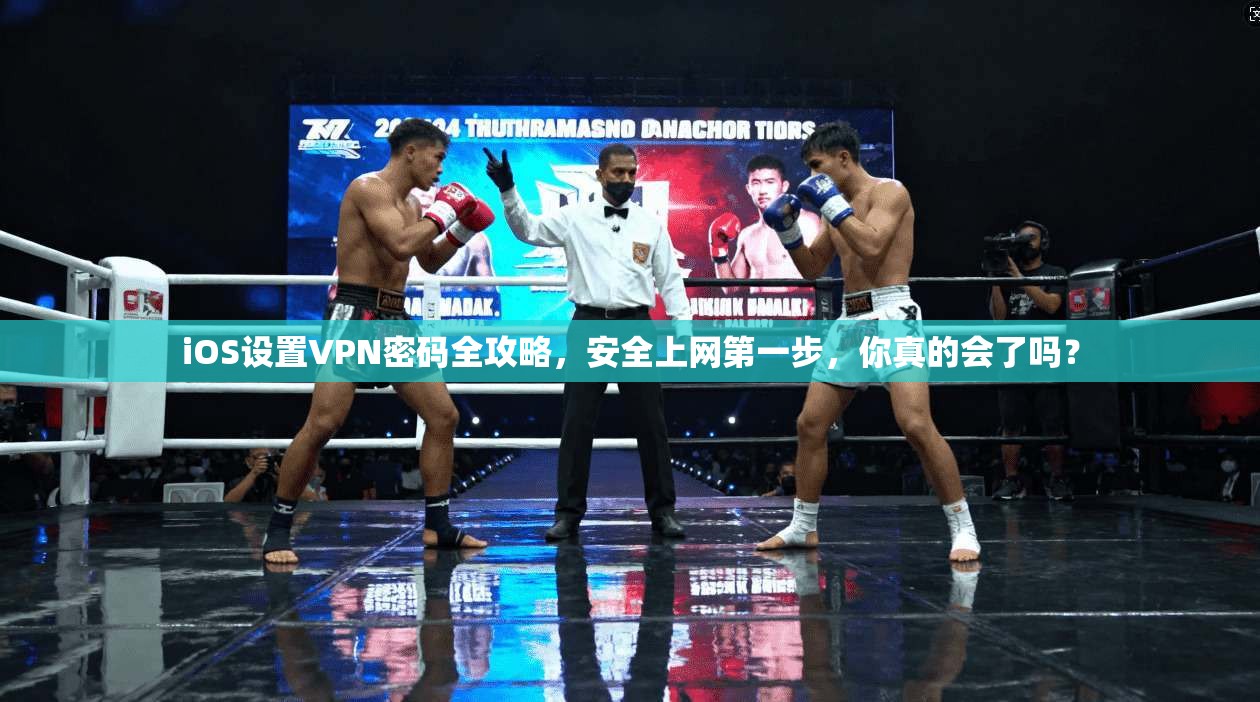 iOS设置VPN密码全攻略,安全上网第一步,你真的会了吗?