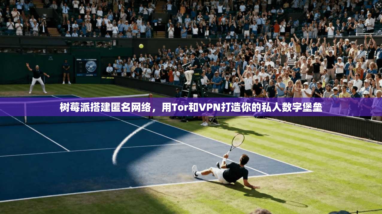 树莓派搭建匿名网络，用Tor和VPN打造你的私人数字堡垒