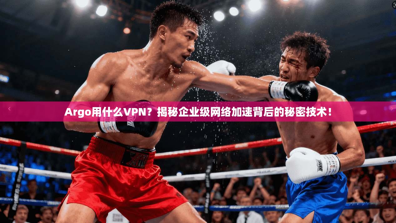 Argo用什么VPN？揭秘企业级网络加速背后的秘密技术！