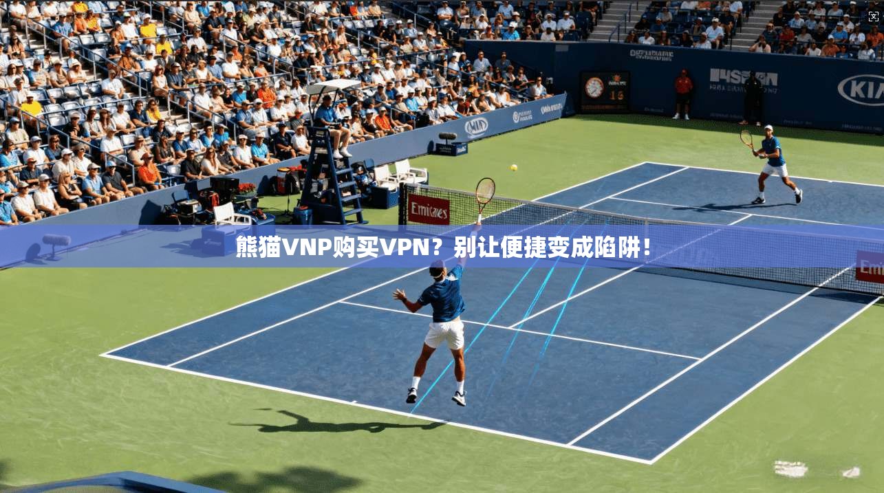 熊猫VNP购买VPN？别让便捷变成陷阱！