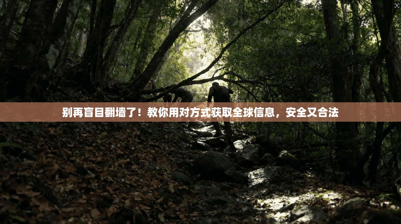 别再盲目翻墙了！教你用对方式获取全球信息，安全又合法