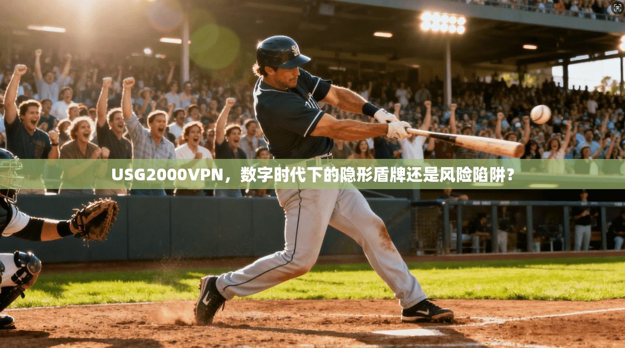 USG2000VPN,数字时代下的隐形盾牌还是风险陷阱?