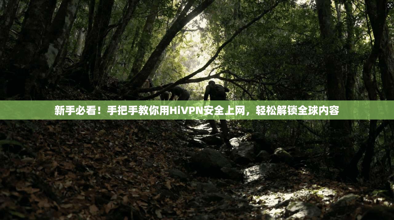 新手必看!手把手教你用HiVPN安全上网,轻松解锁全球内容