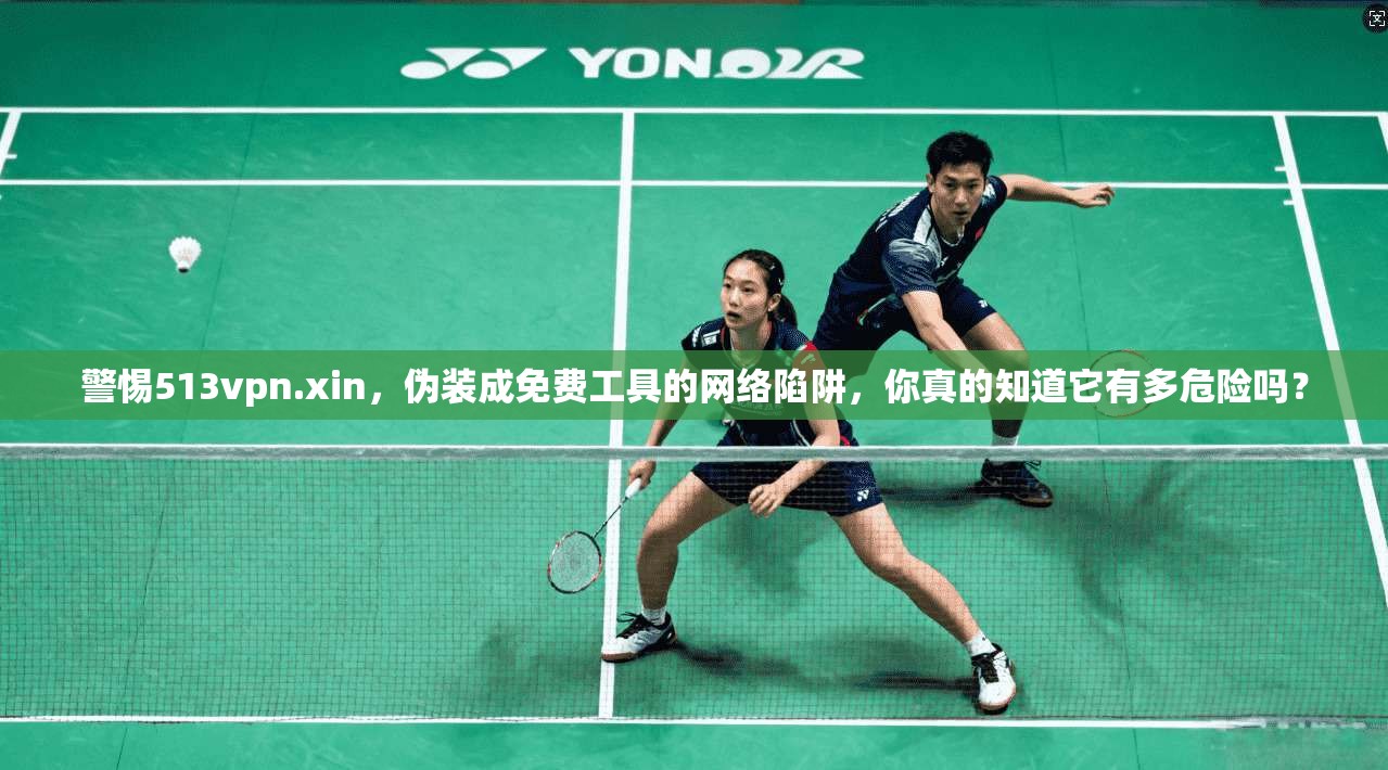 警惕513vpn.xin，伪装成免费工具的网络陷阱，你真的知道它有多危险吗？