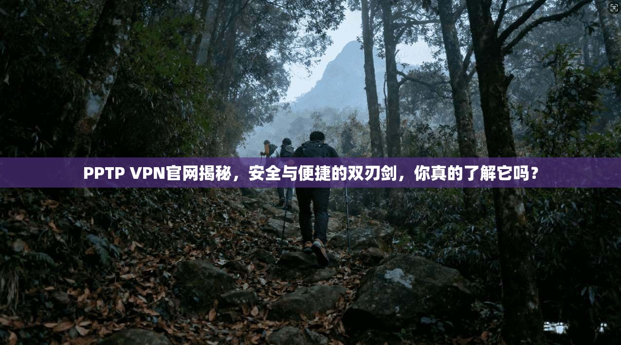 PPTP VPN官网揭秘，安全与便捷的双刃剑，你真的了解它吗？