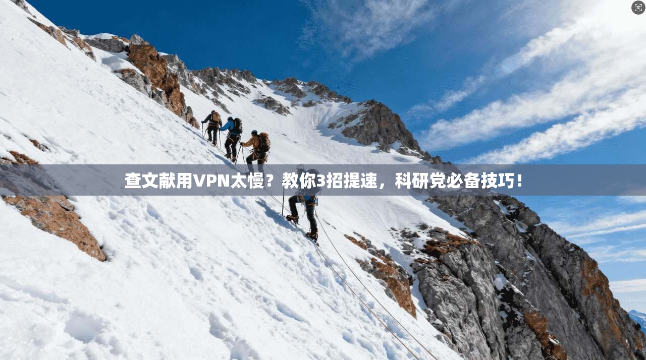 查文献用VPN太慢？教你3招提速，科研党必备技巧！