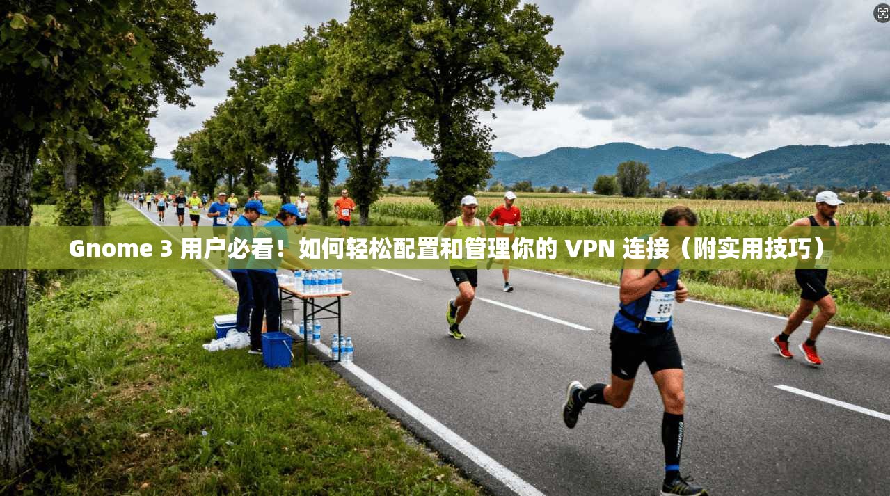 Gnome 3 用户必看！如何轻松配置和管理你的 VPN 连接（附实用技巧）