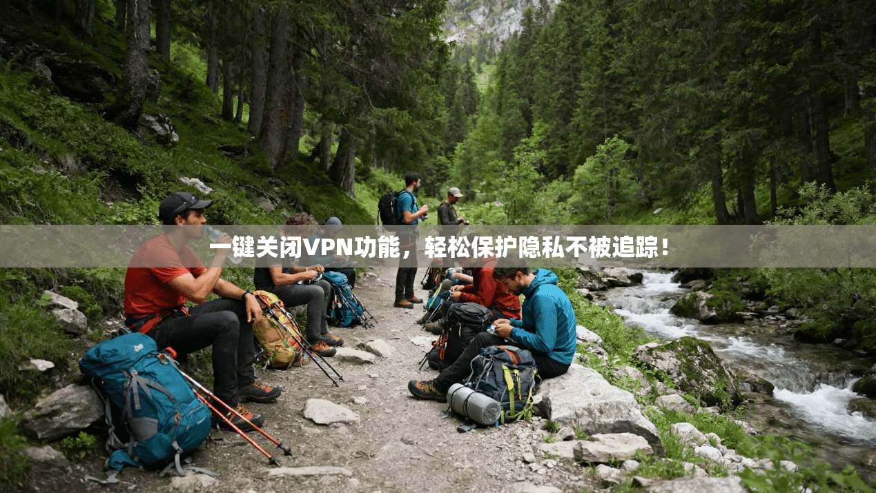 一键关闭VPN功能，轻松保护隐私不被追踪！