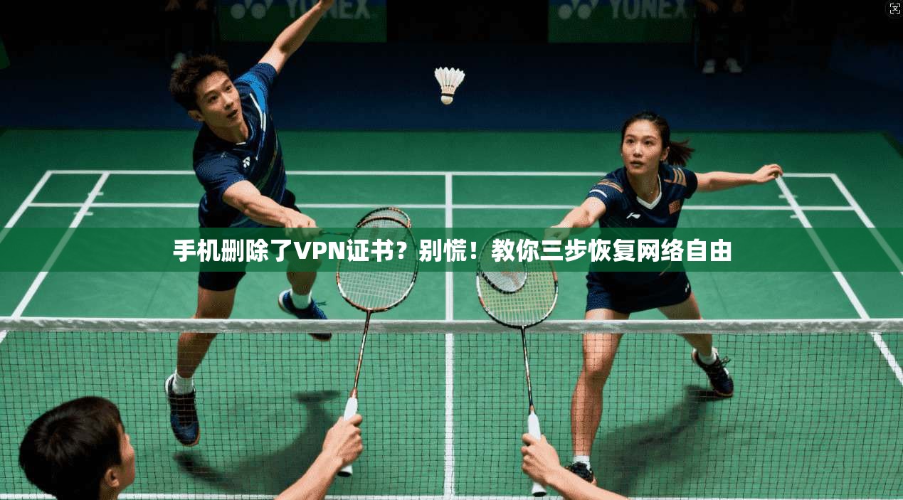 手机删除了VPN证书？别慌！教你三步恢复网络自由