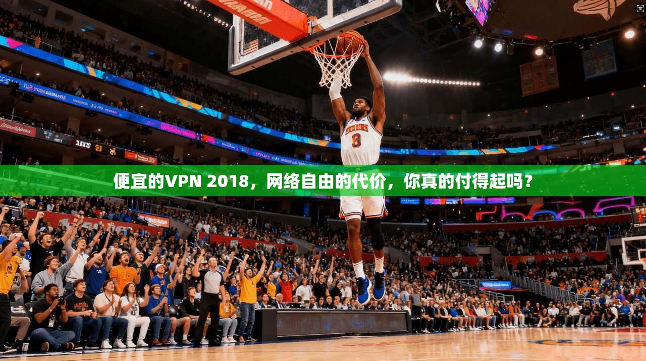 便宜的VPN 2018，网络自由的代价，你真的付得起吗？