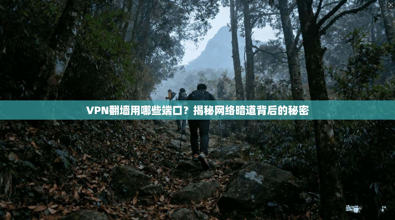 VPN翻墙用哪些端口？揭秘网络暗道背后的秘密