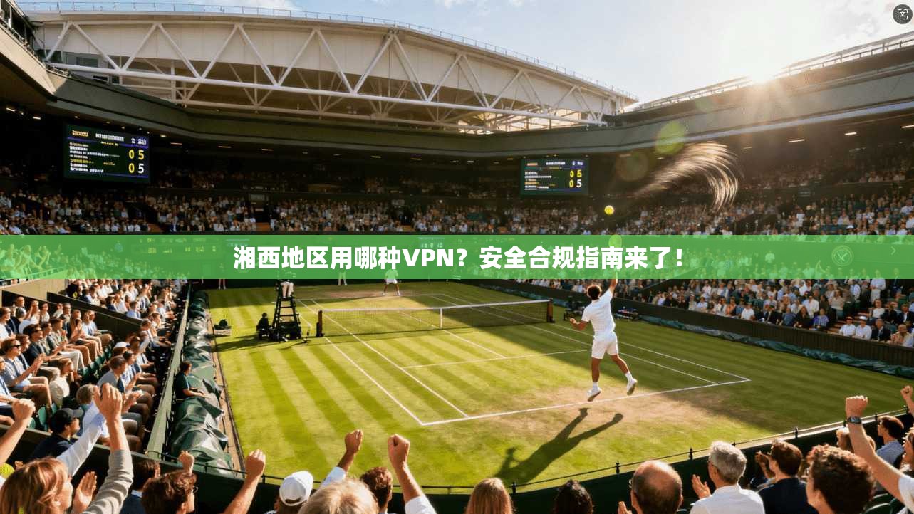 湘西地区用哪种VPN？安全合规指南来了！