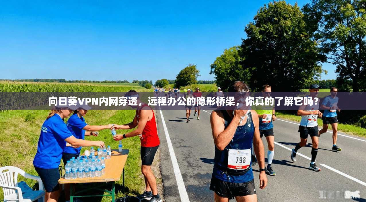 向日葵VPN内网穿透，远程办公的隐形桥梁，你真的了解它吗？