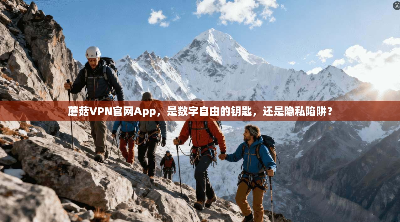 蘑菇VPN官网App，是数字自由的钥匙，还是隐私陷阱？