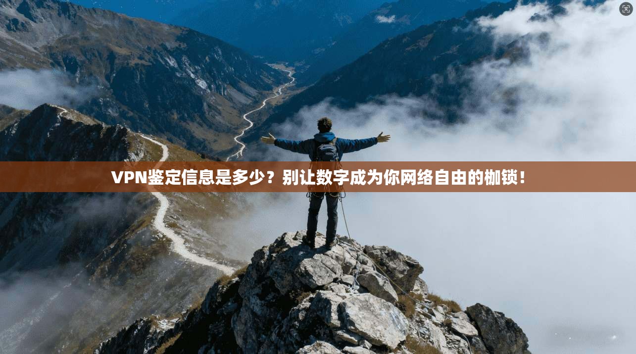VPN鉴定信息是多少？别让数字成为你网络自由的枷锁！