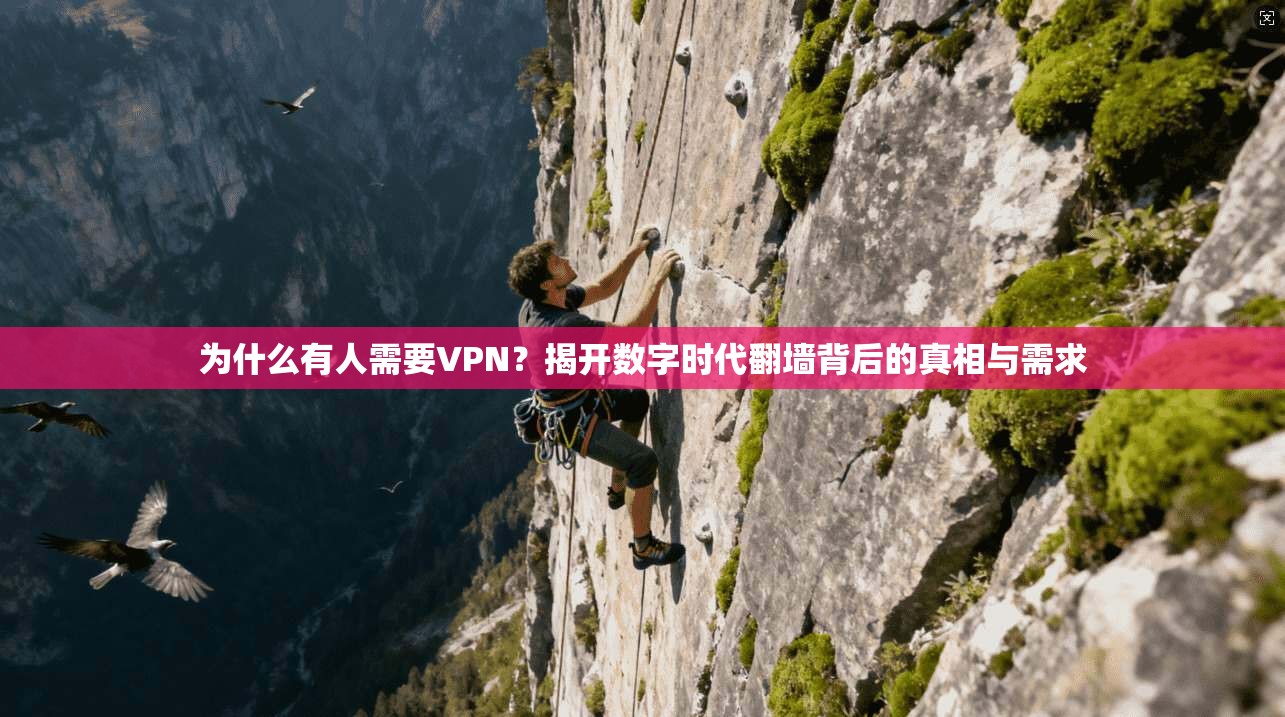 为什么有人需要VPN？揭开数字时代翻墙背后的真相与需求
